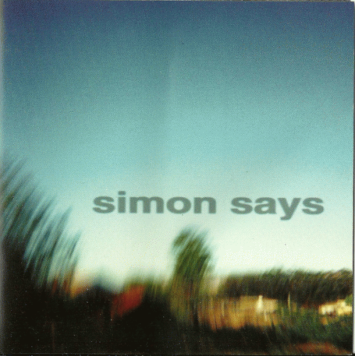 Simon Says : Perfect Example